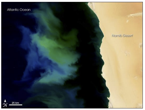 Locating organic carbon hotspots in marine sediments